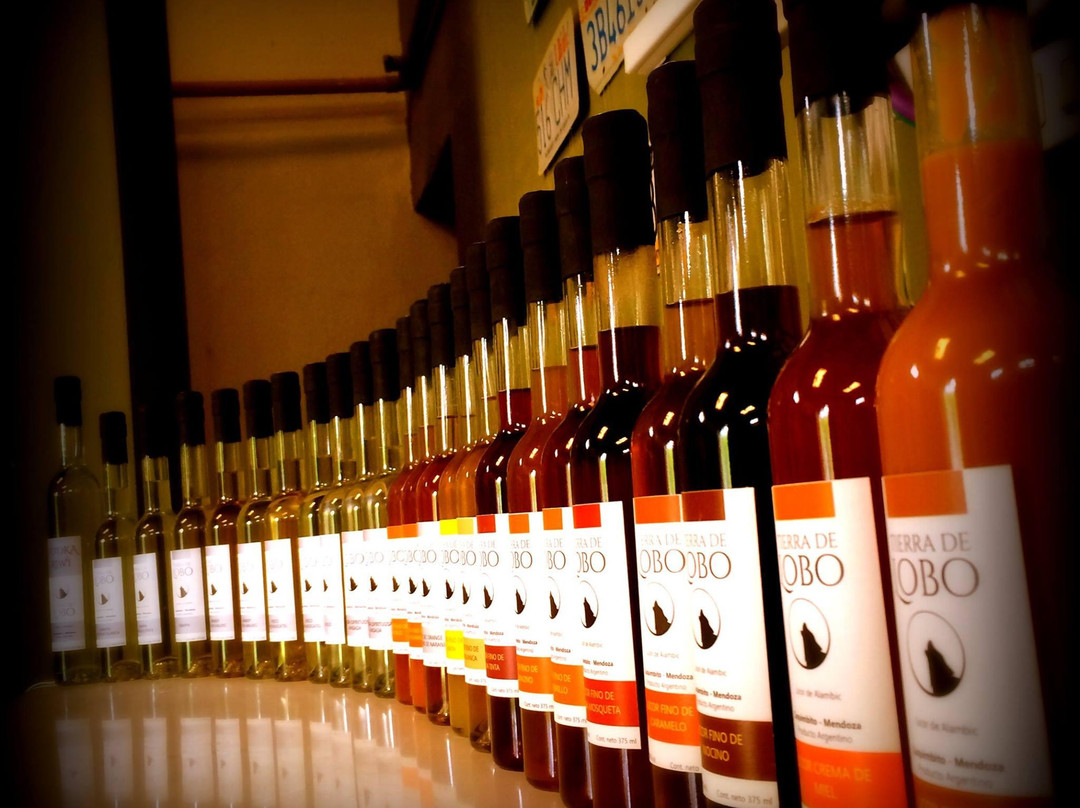 Tierra de Lobo-Coquimbito必去景点