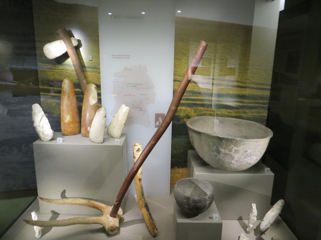 Wiltshire Museum-迪韦齐斯必去景点