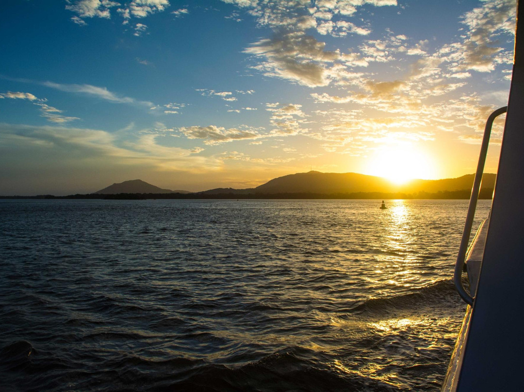 Camden Haven Cruises景点图片
