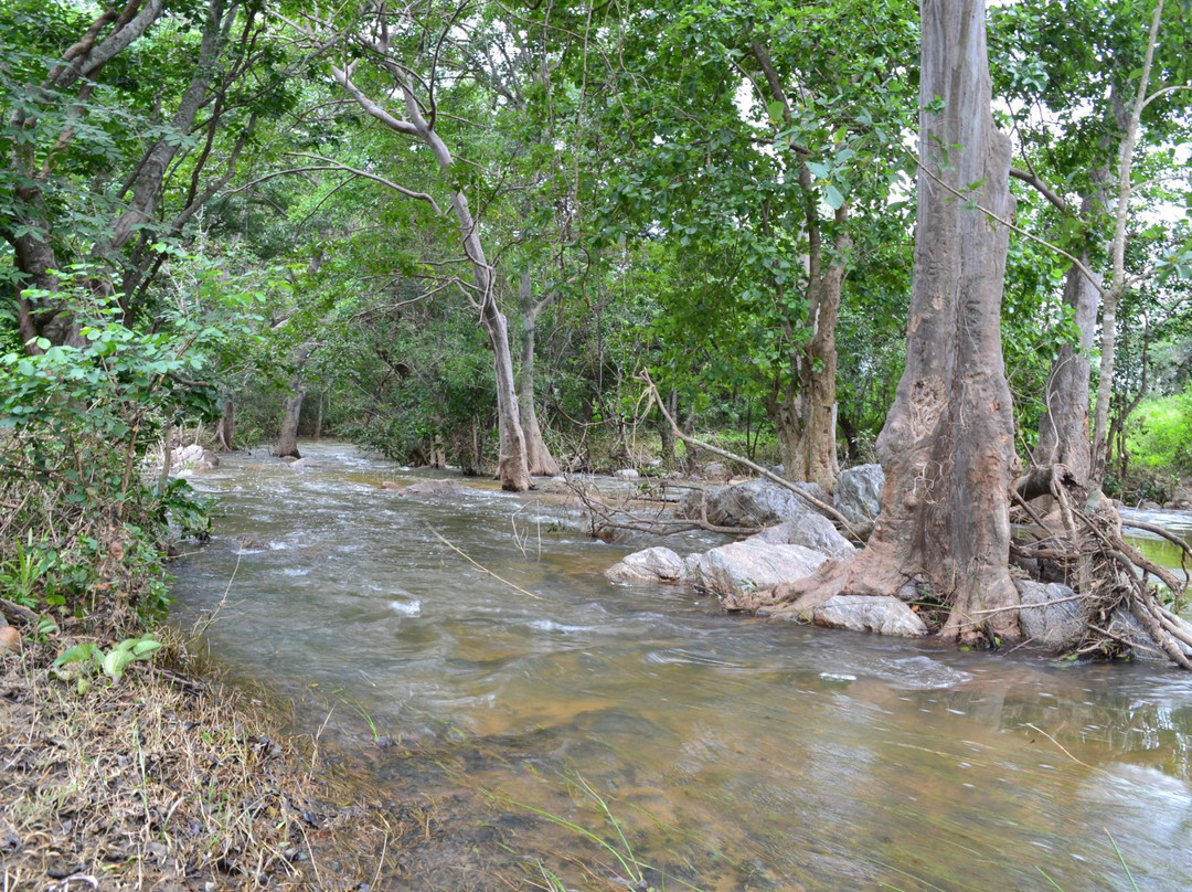Ganganna Sirrasu Waterfalls景点图片