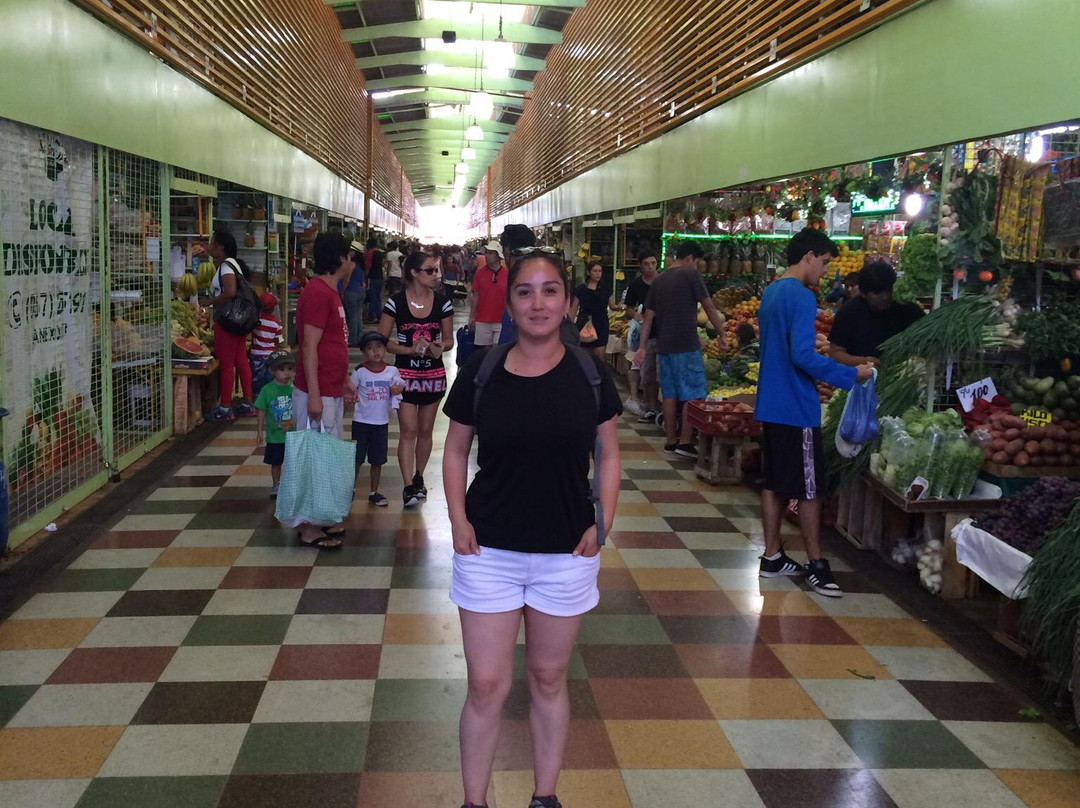 Terminal Agropecuario de Iquique - Region de Tarapaca-伊基克必去景点