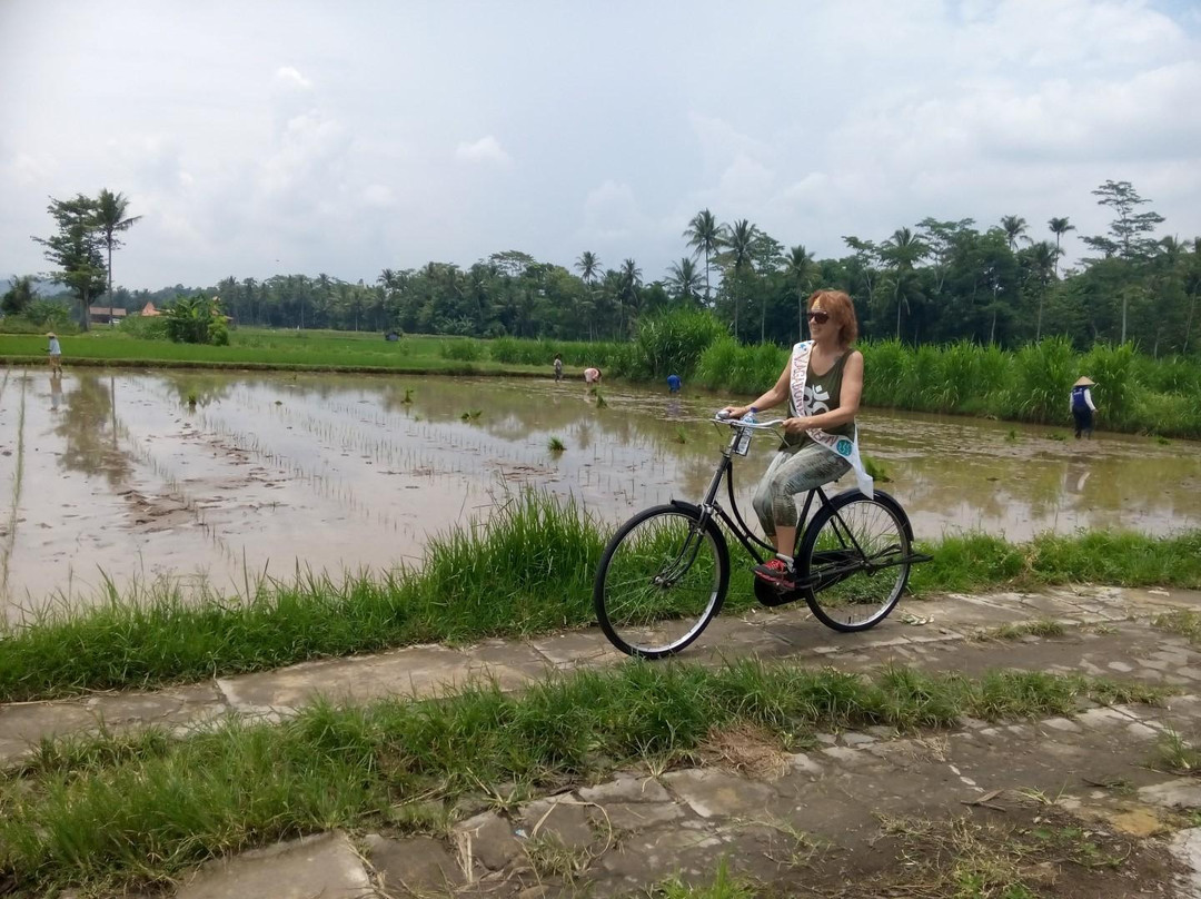 Javalestari Tour - Day Tours-Borobudur必去景点