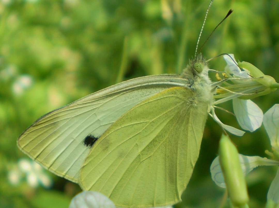 Stratford Ecological Center-Delaware必去景点