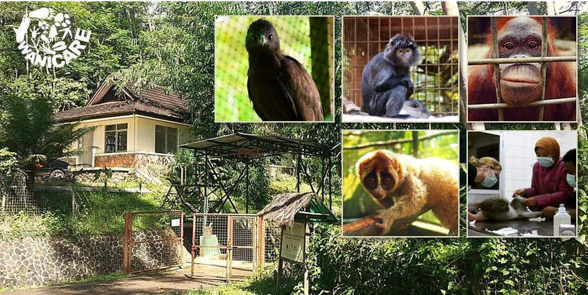 Cikananga Wildlife Center景点图片