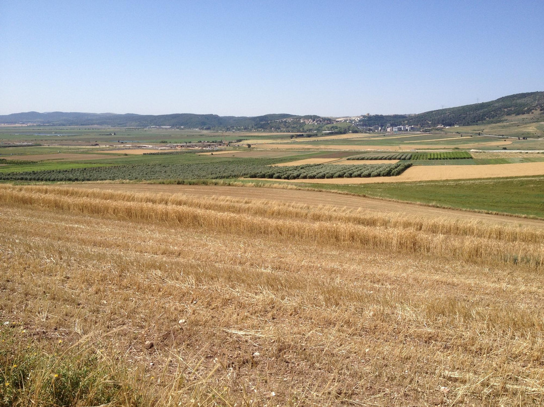 Alexander Zeid Monument-Kiryat Tivon必去景点