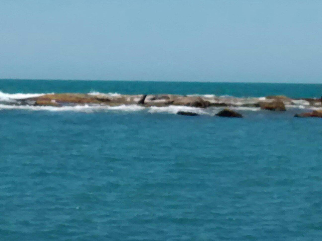 Ilha dos Lobos-Torres必去景点