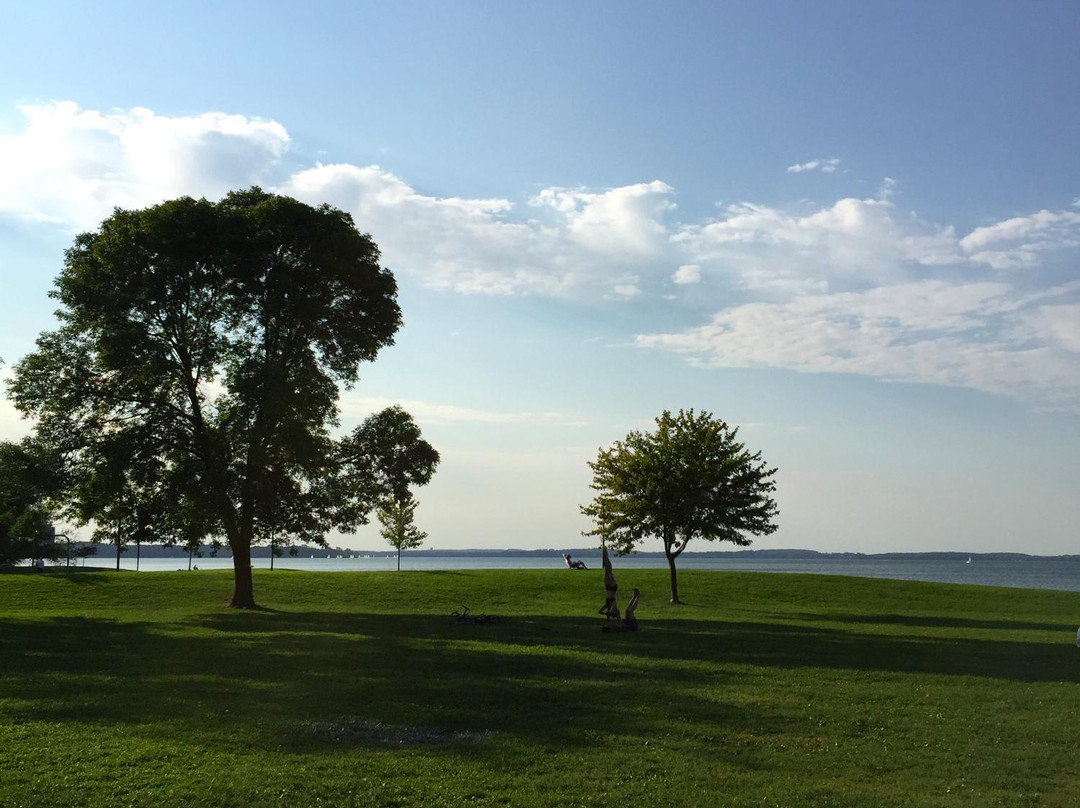 Olin-Turville Park-麦迪逊必去景点