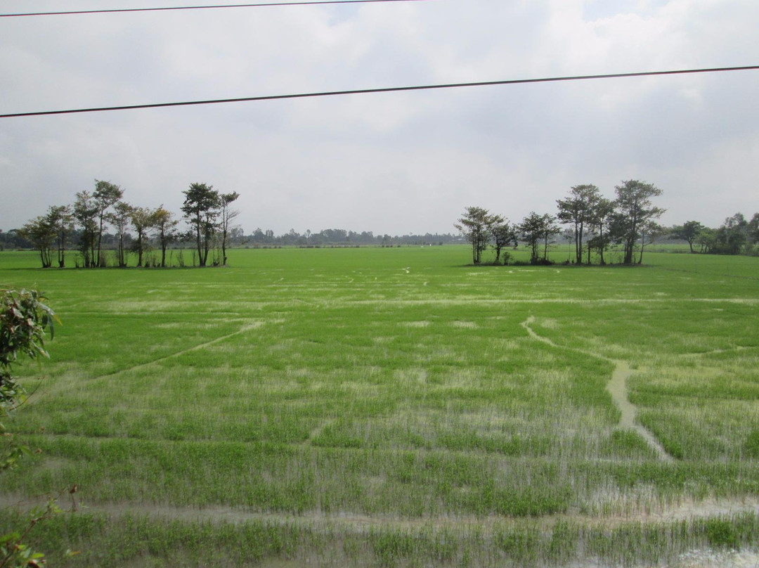 Gao Giong Eco-tourism Park-Cao Lanh必去景点