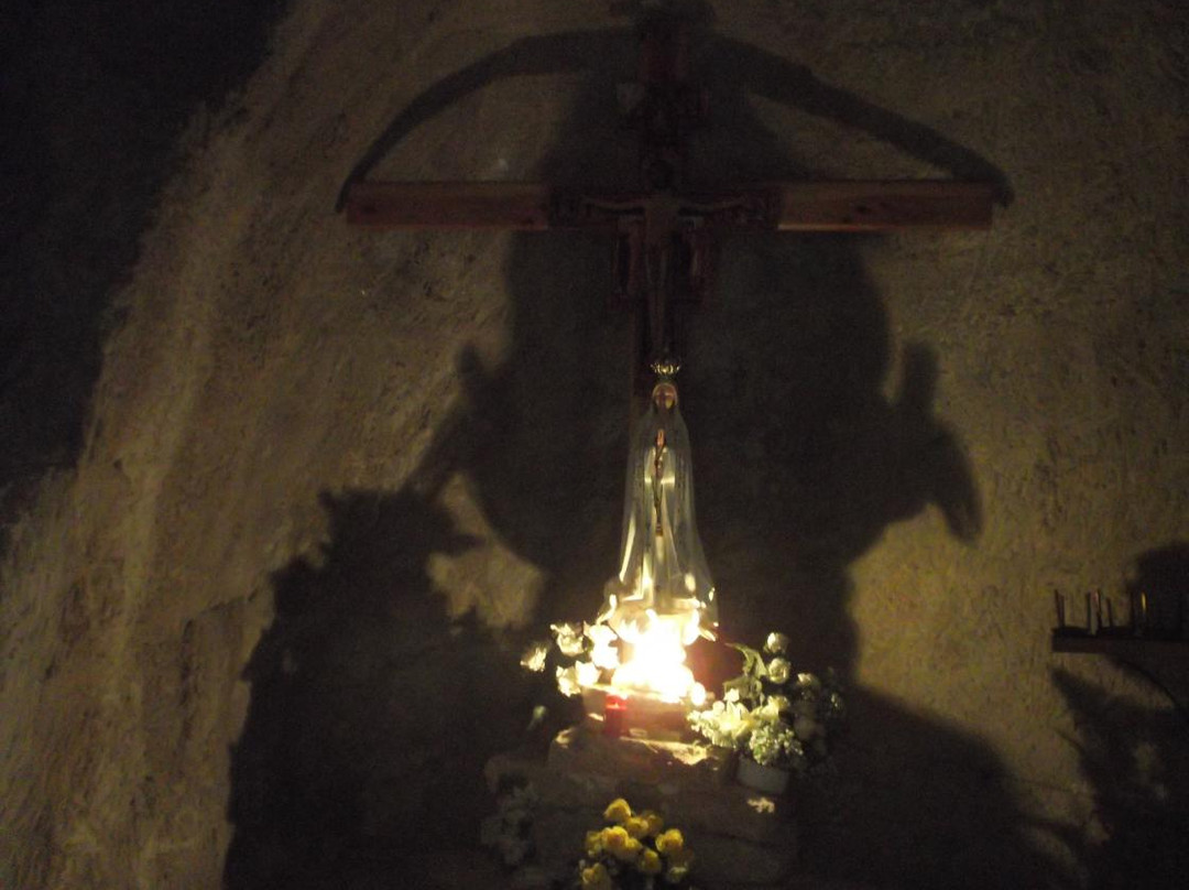 Santuario Diocesano San Paolino景点图片