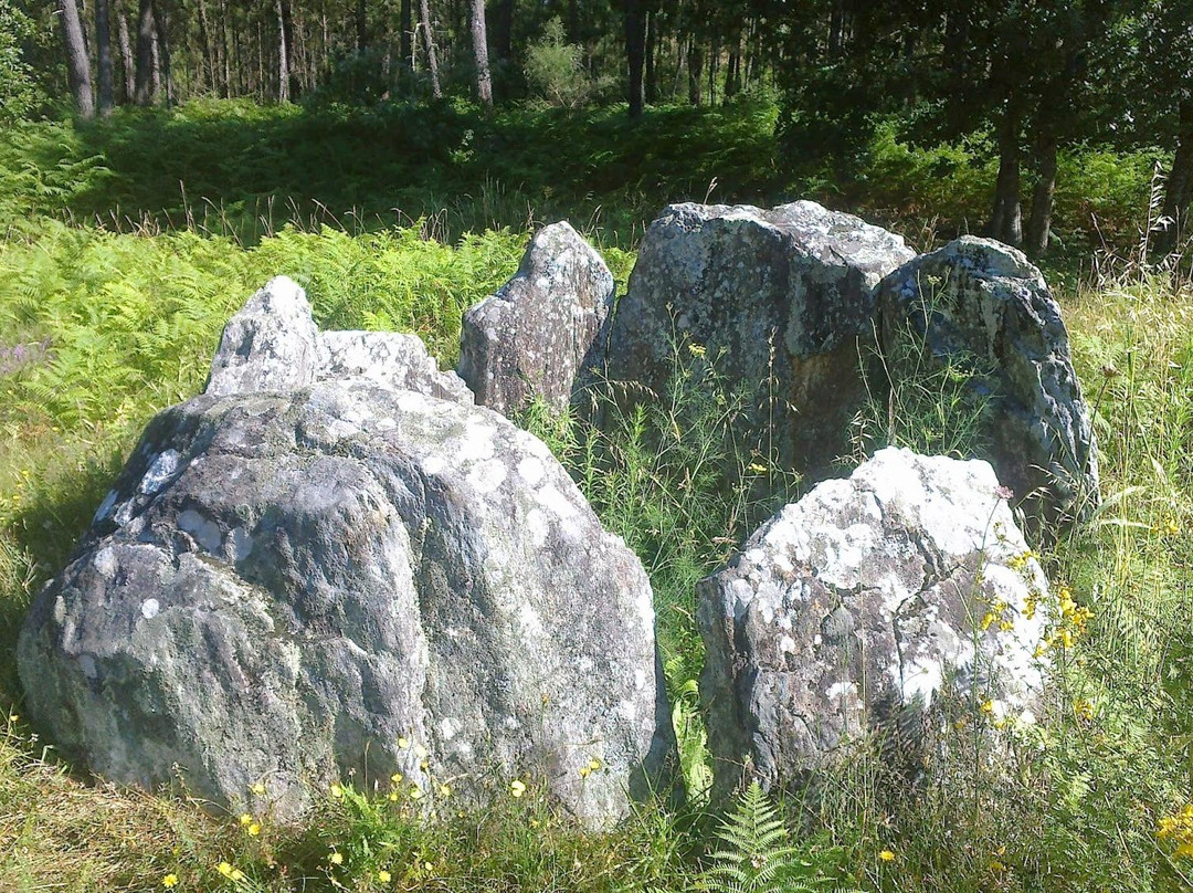 Cova da Moura景点图片