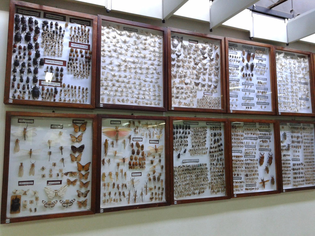 Campos Gerais Museum-Ponta Grossa必去景点