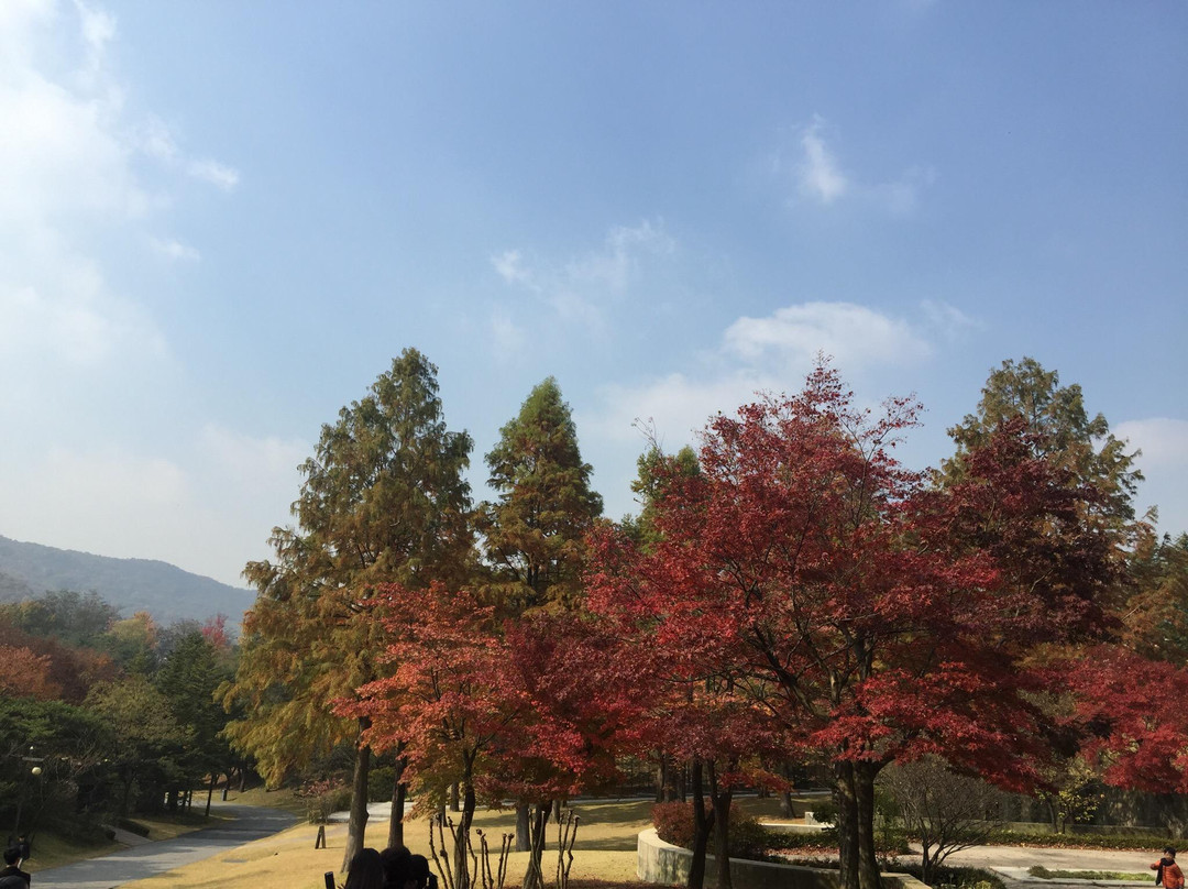 Hoam Art Museum-龙仁市必去景点
