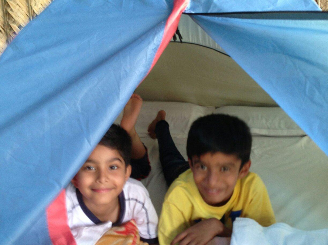 Bear Mountain Jungle Resort主图