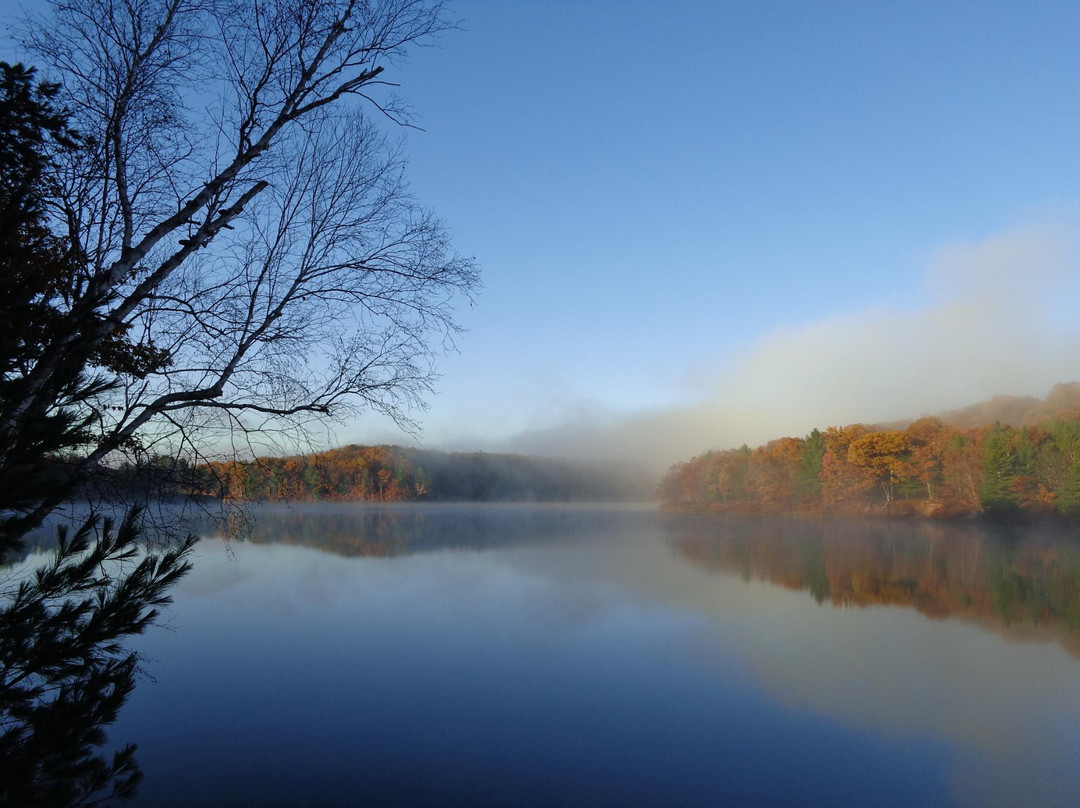 Manistee River景点图片
