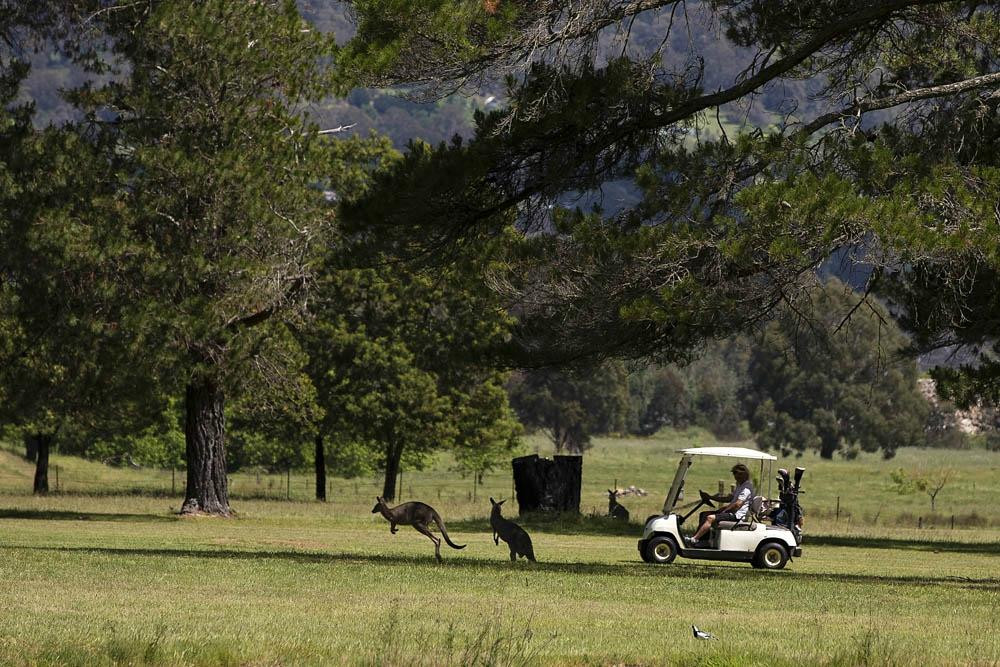 Mt Beauty Golf Club-Mount Beauty必去景点