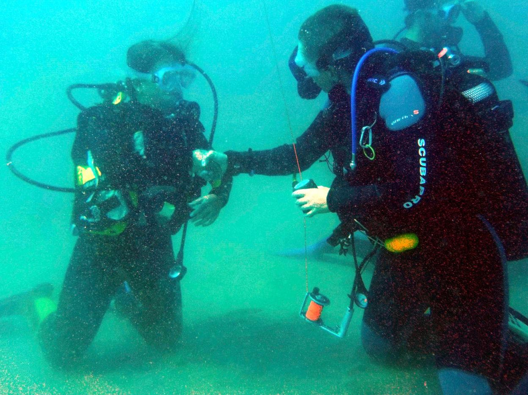 Sicilia Divers Ltd.-切法卢必去景点