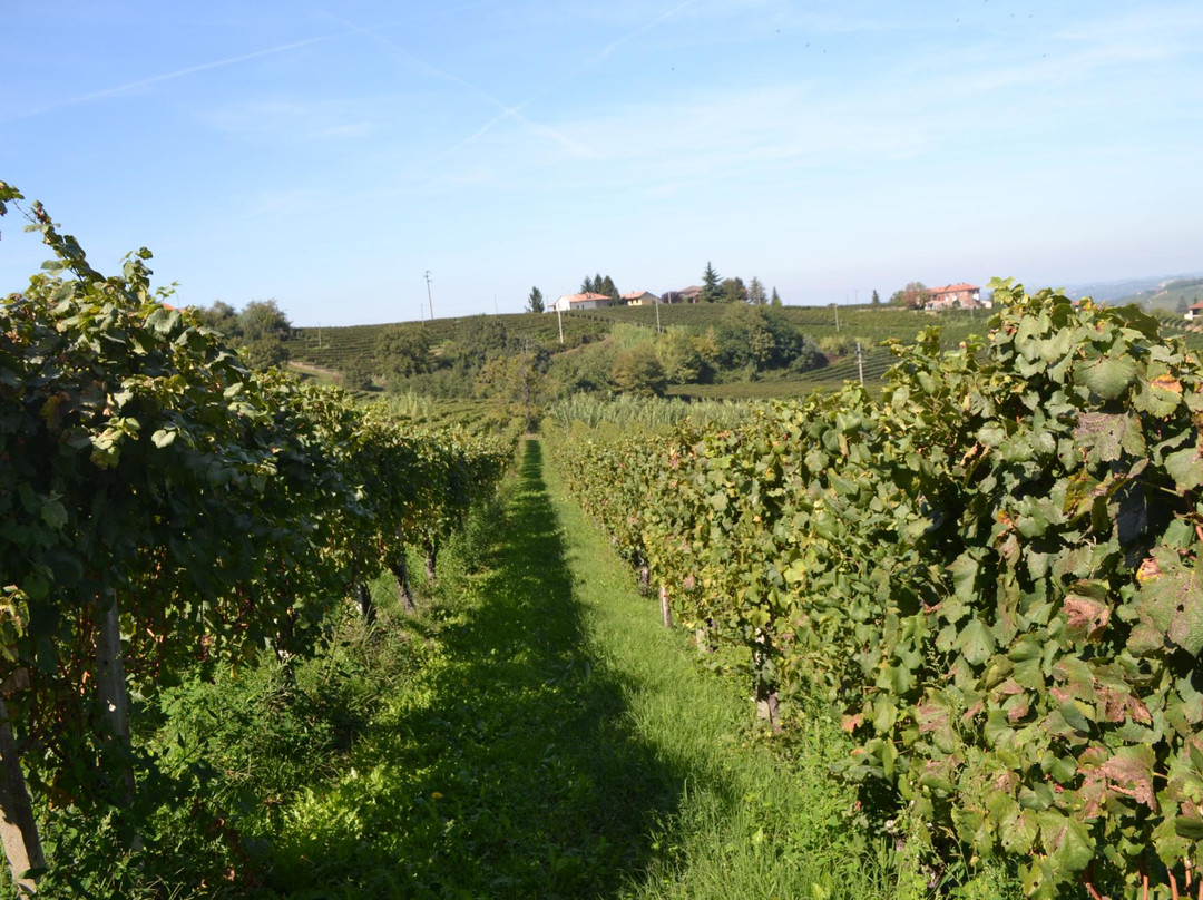 Cascina Saria景点图片