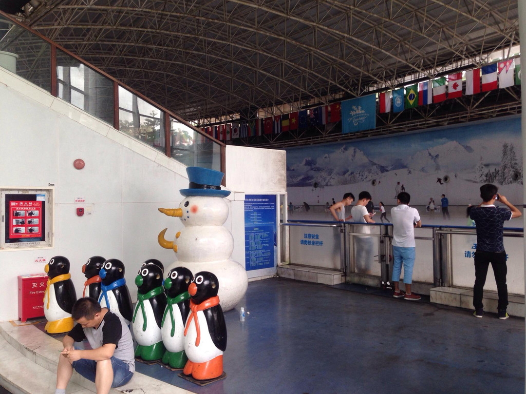 阿尔卑斯冰雪世界-深圳市必去景点