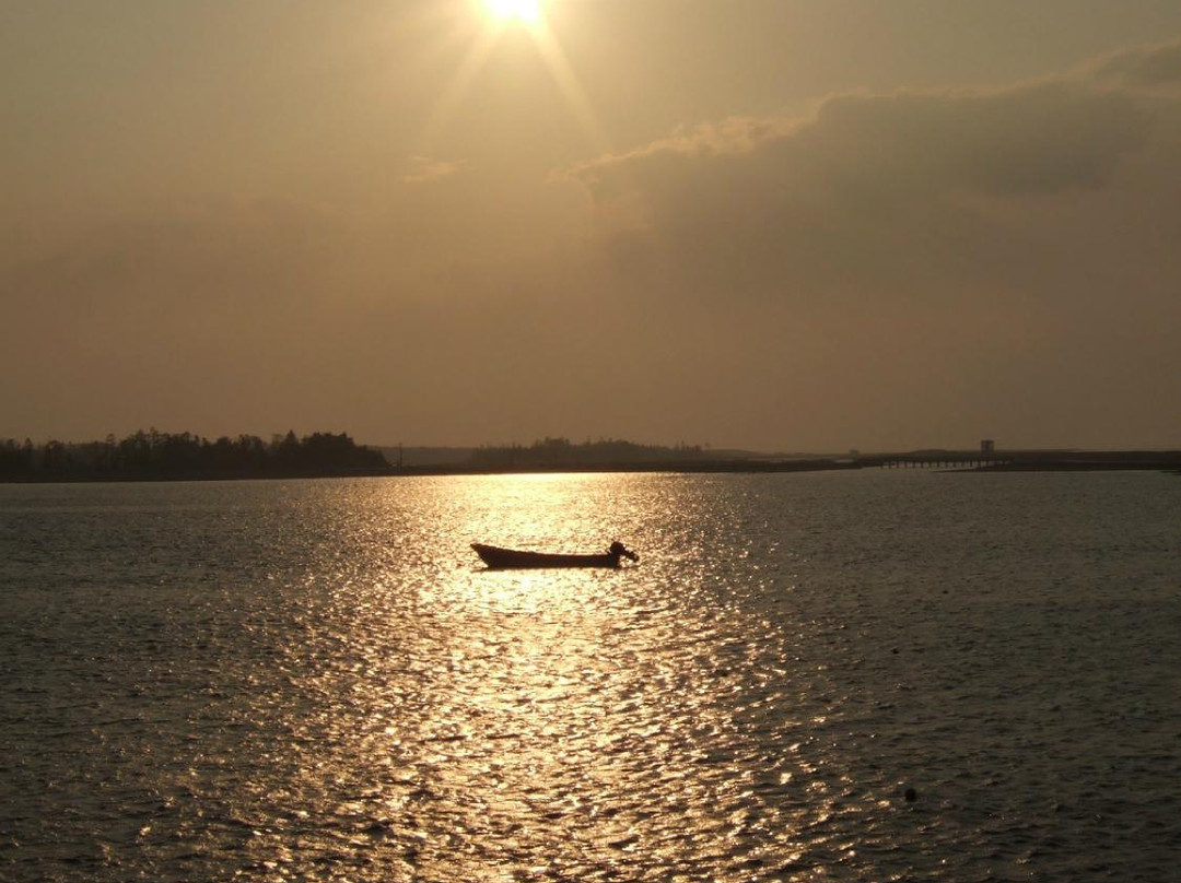 根室市春国岱原生野岛公园-根室市必去景点