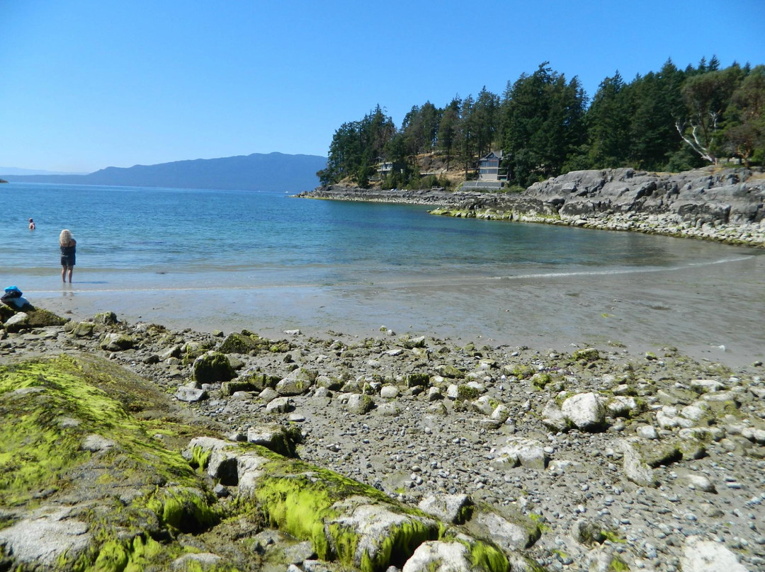Baker Beach Bed & Breakfast主图