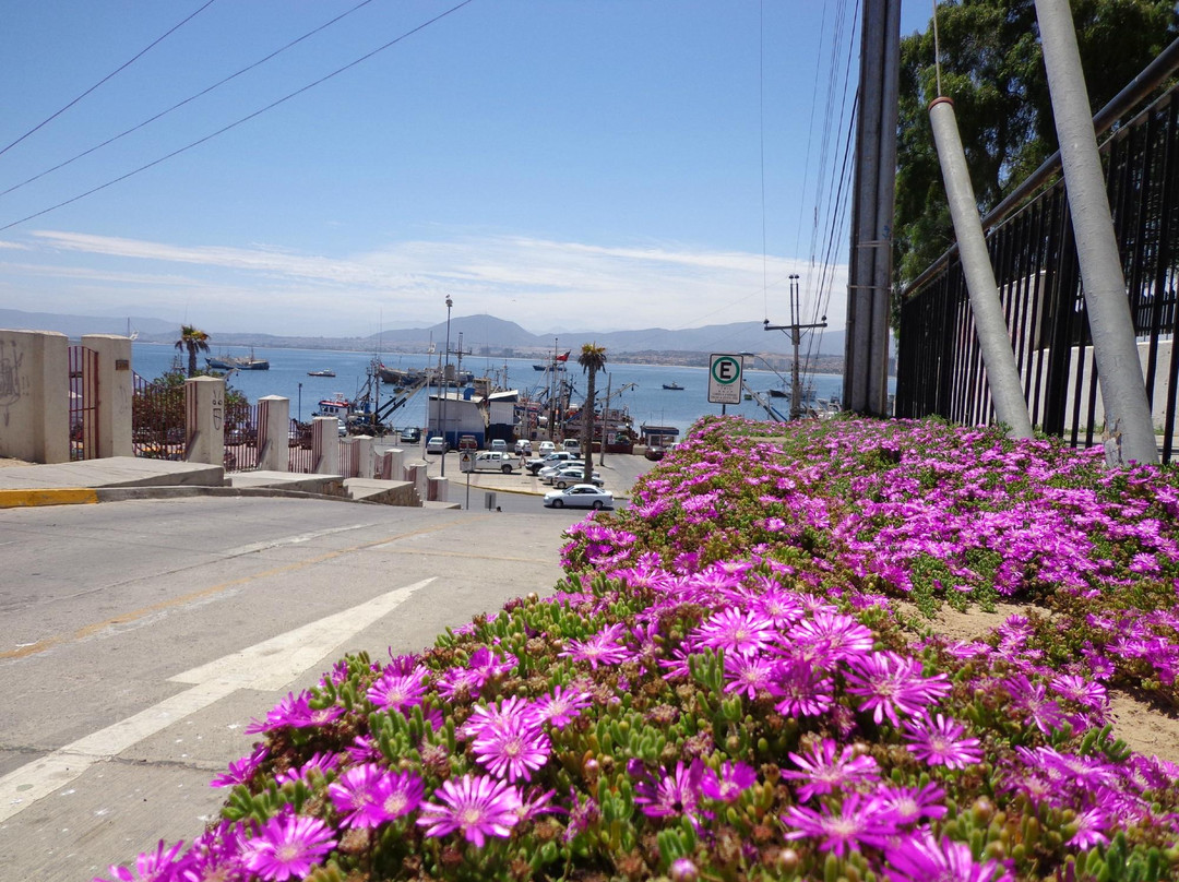 Feria Abasto La Costanera de Coquimbo S.A-Coquimbo必去景点