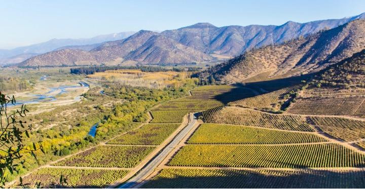 Maipo Valley Wine Tours景点图片