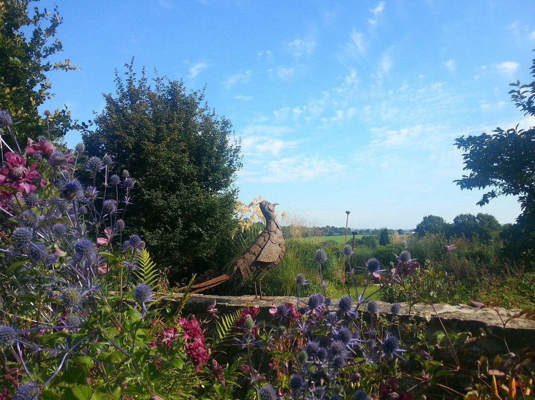 Burrow Farm Gardens-Dalwood必去景点