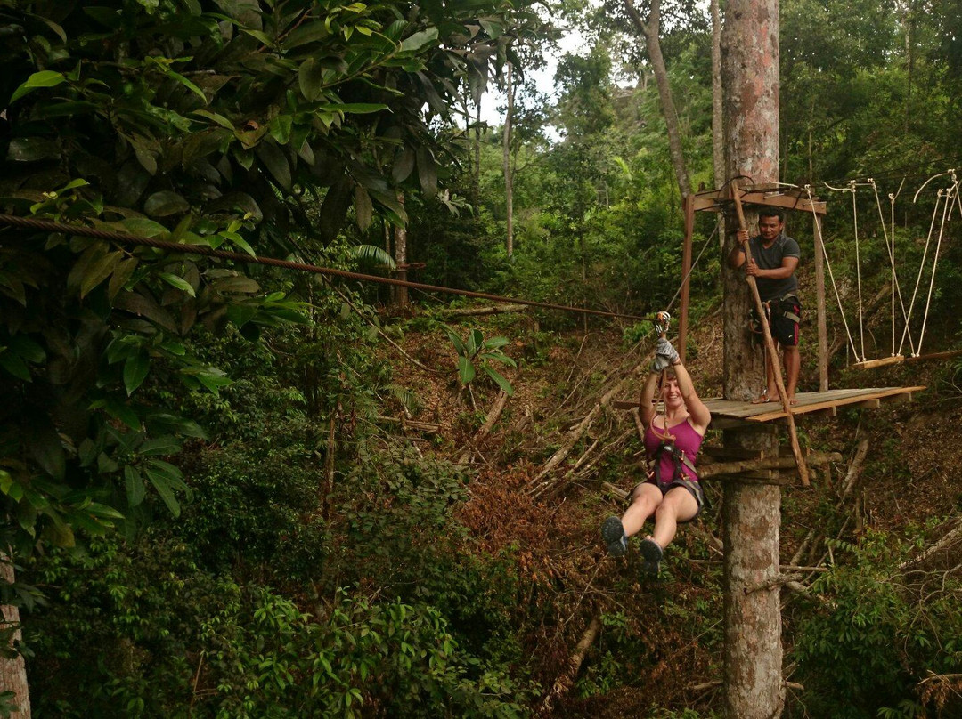 Jungle Flight景点图片