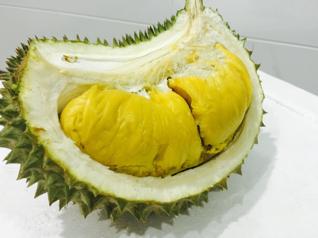 Karak Organic Durian Farm-加叻必去景点