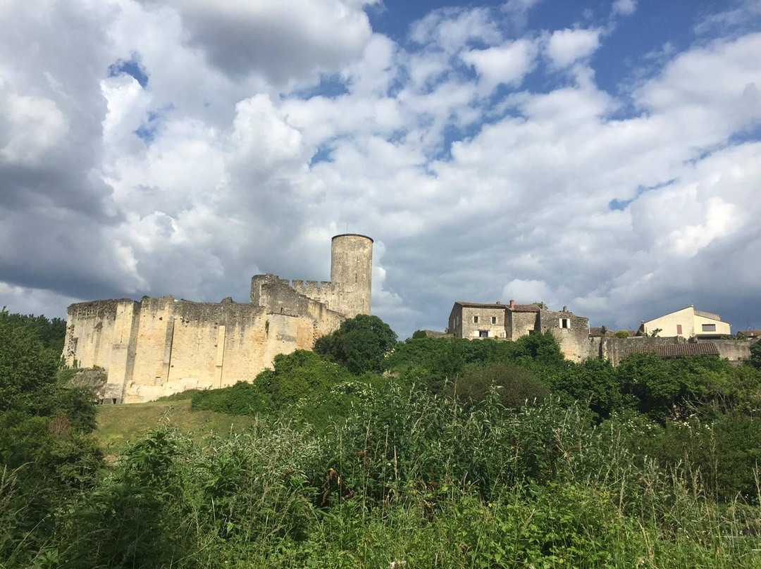 Castillon-la-Bataille旅游攻略图片