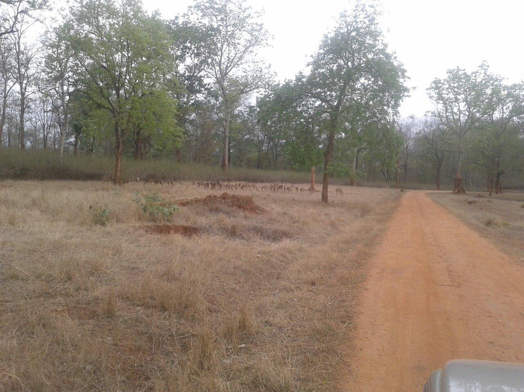 Palamau Tiger Reserve-Palamu District必去景点