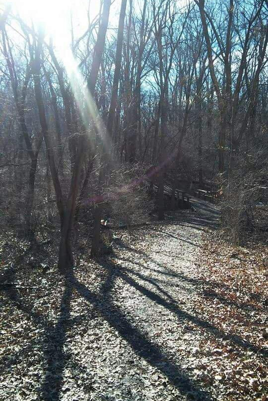 Lincoln Memorial Garden-斯普林菲尔德必去景点