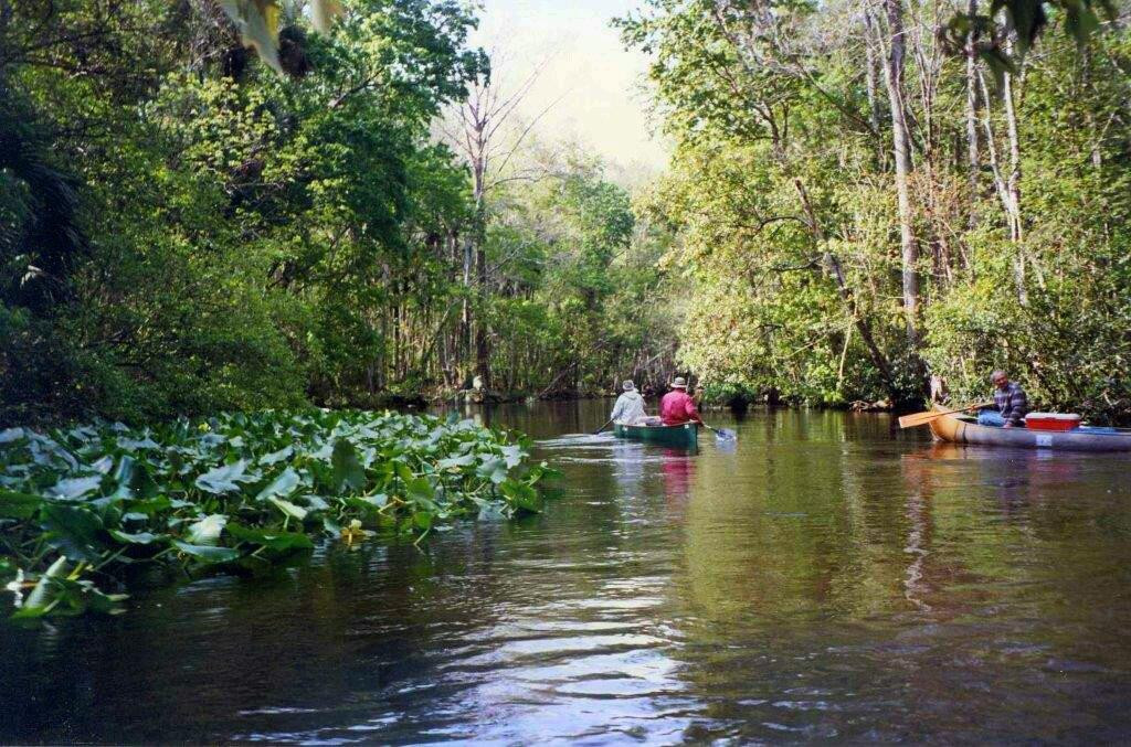 Ocala National Forest-Umatilla必去景点