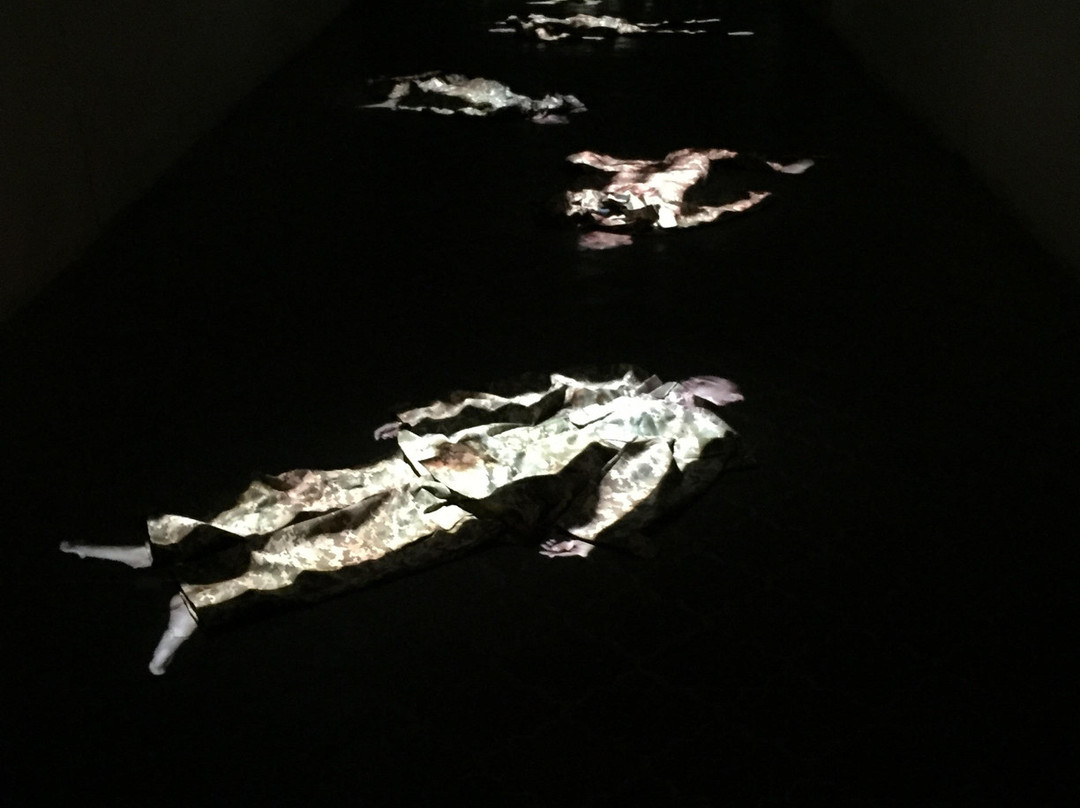 Dzyha Art  Association景点图片