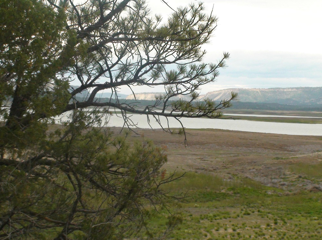 Heron Lake State Park景点图片