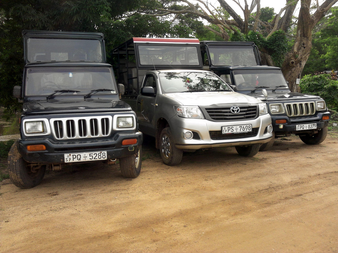 Sasindu Safari Jeep Tours-雅拉国家公园必去景点