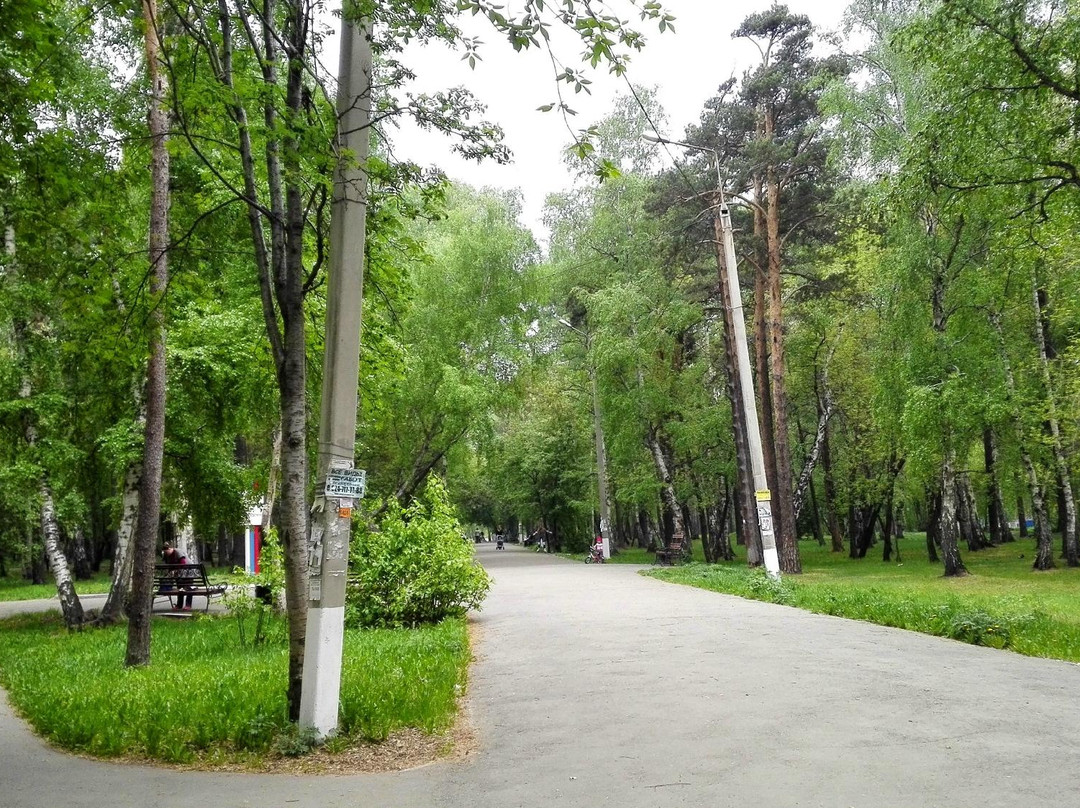 Molodyozhnaya Wood-伊尔库茨克必去景点