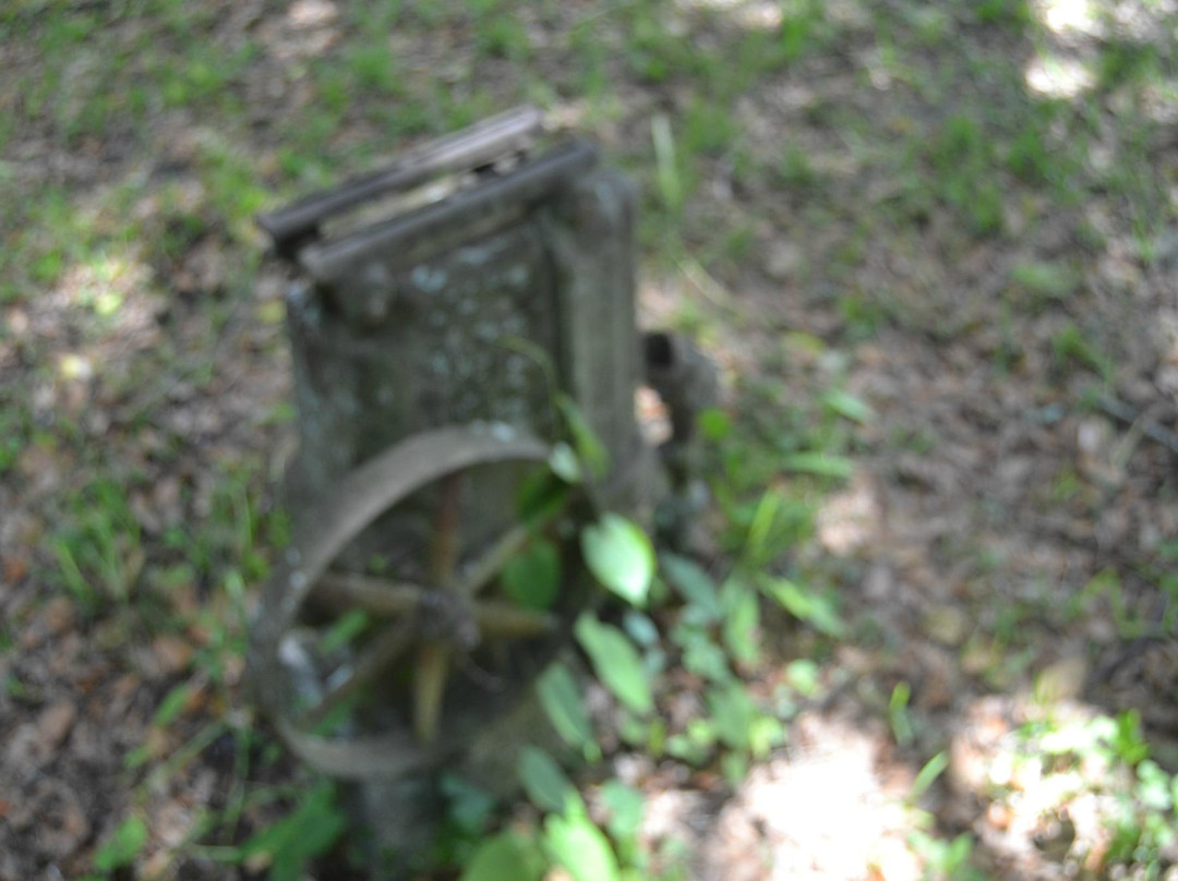 Micanopy Trading Outpost景点图片
