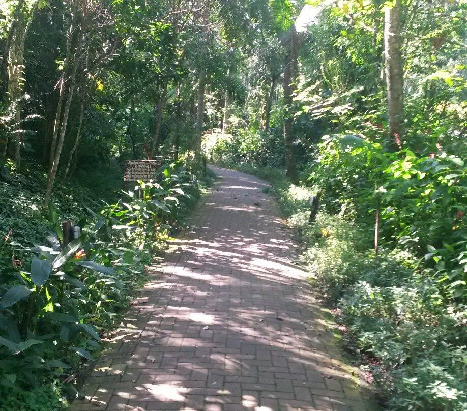 Praia de São Pedro-瓜鲁雅必去景点