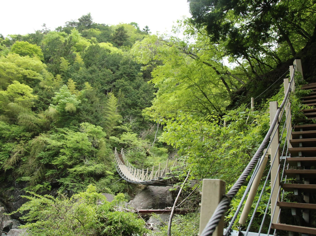 Oyanagawa Promenade景点图片