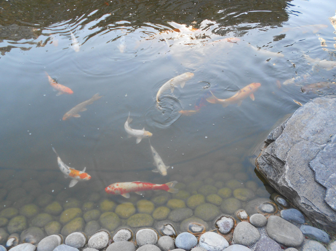 Princess Grace Japanese Garden-蒙特卡洛必去景点
