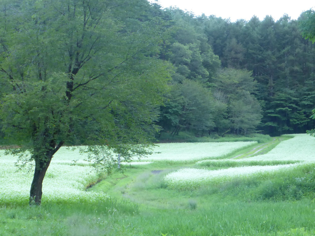 Nakayama Kogen-大町市必去景点