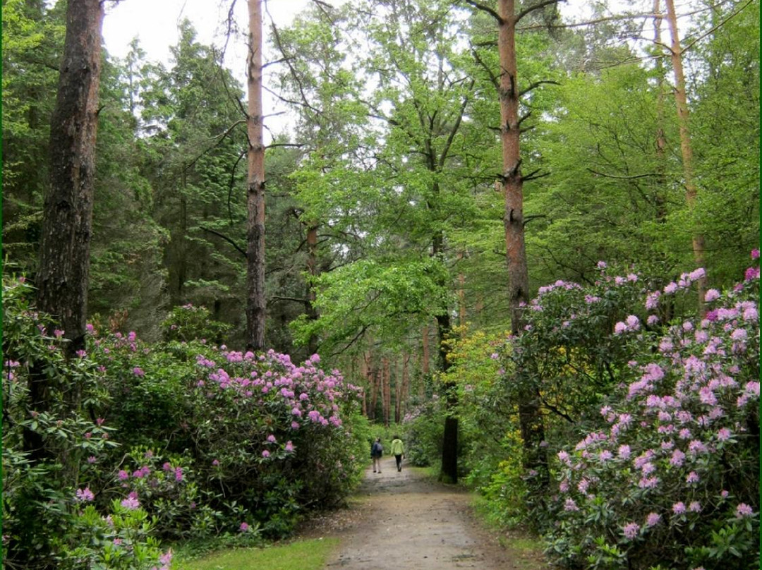 Jeli Arboretum-Kam必去景点