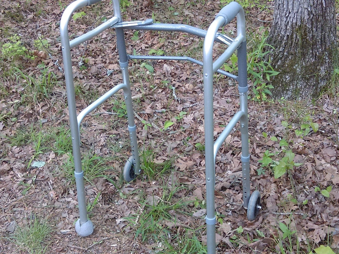 Wildwood Park for the Arts-小石城必去景点