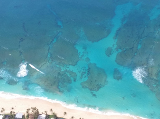 Magnum Helicopters-火奴鲁鲁必去景点