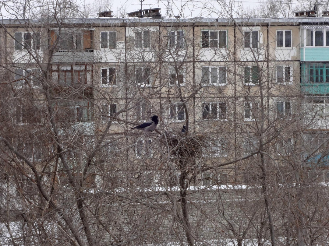 Bereg Nadezhdy主图