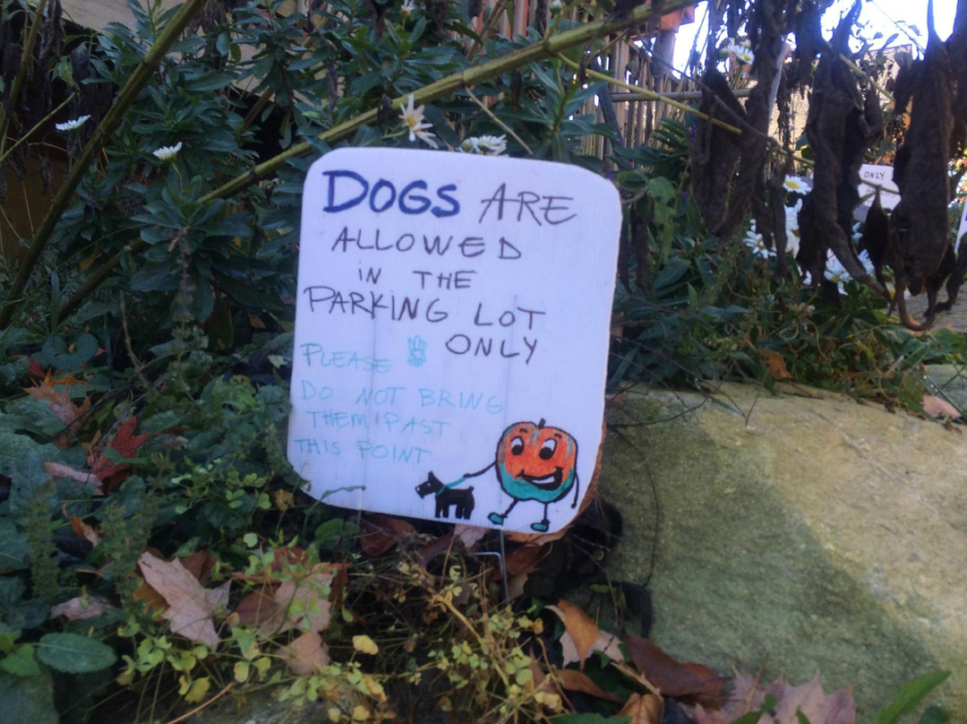 Barden Family Orchard-North Scituate必去景点