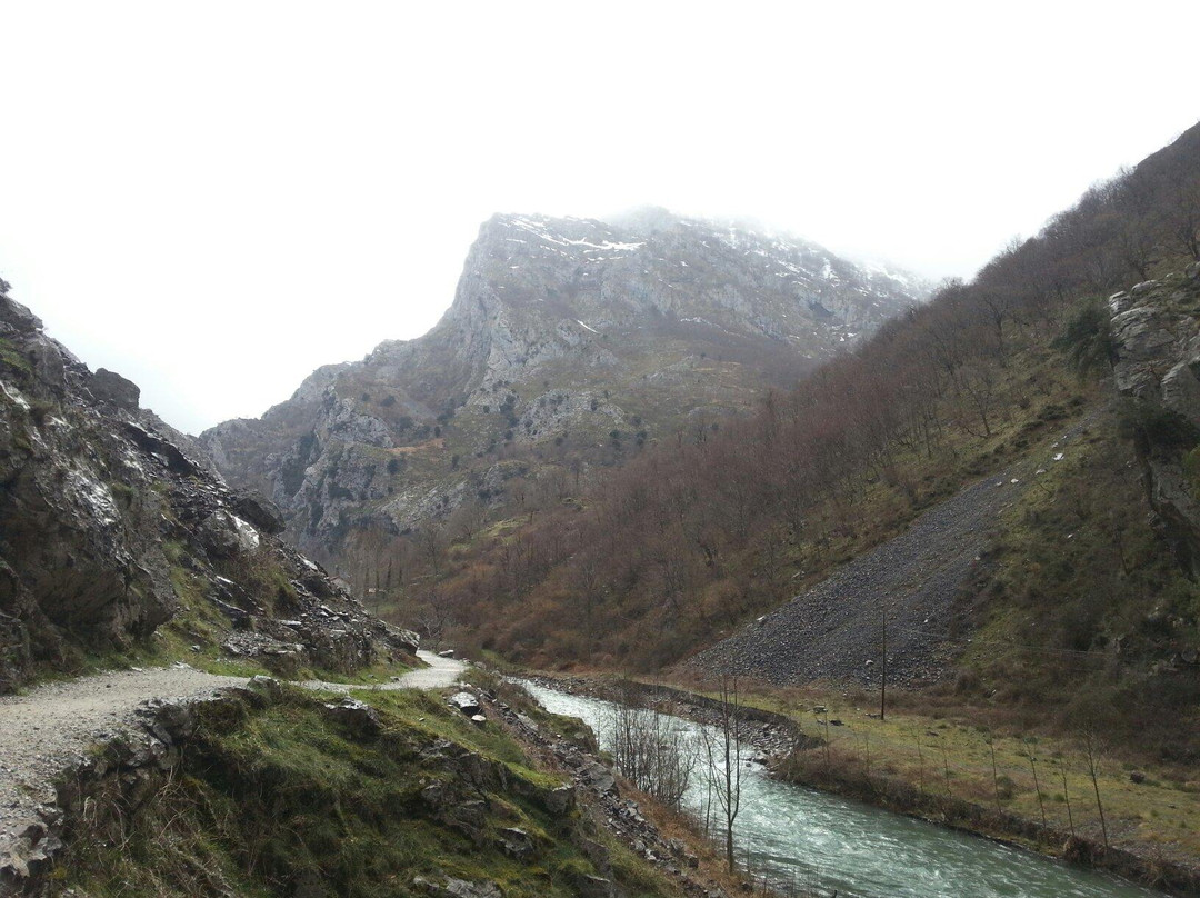 River Cares景点图片