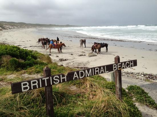 King Island Trail Rides-Currie必去景点
