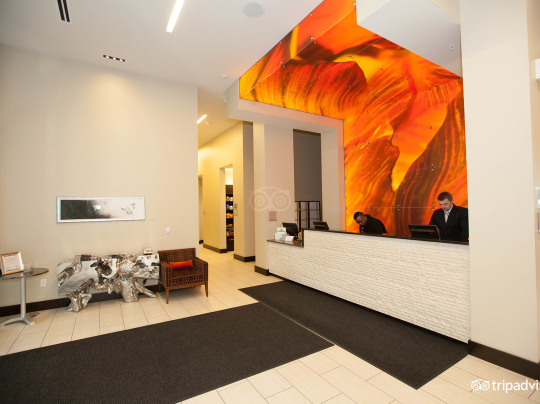 丹佛酒店住宿-SpringHill Suites by Marriott Denver Downtown